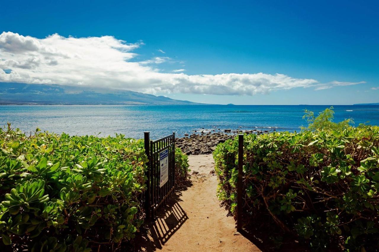 Stunning Maui Direct Ocean Front On The Beach, Walk To Beach From Condo, Watch Turtles, Whales, Ac In All Rooms Ocean View Pool And Spa Wailuku Exterior foto